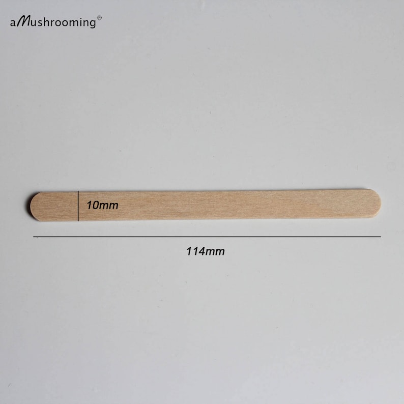 100 Laser Engraved Popsicle Stick Ice Cream Sticks Customized Ice Cream Stick 114mm long for logo Promotions Birthday Baby Shower freeze by
