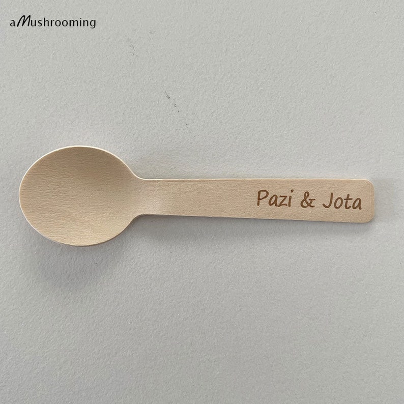 May include: A single wooden spoon with a rounded bowl and a flat handle. The text "Pazi & Jota" is engraved on the handle. The spoon is light brown in colour and appears to be made of a natural wood material. The spoon is on a grey background.