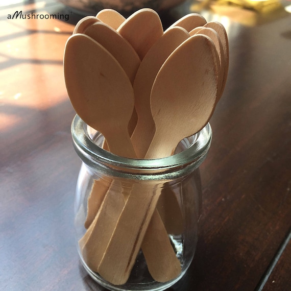 100 Mini Wooden Spoons Taster Wooden Ice Cream Spoons Crafting Etsy
