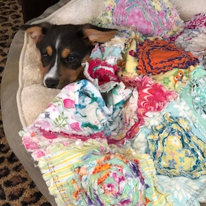 Puede incluir: Un cachorro marr&oacute;n y blanco est&aacute; acurrucado en una cama para perros con una colcha de retazos colorida. La colcha est&aacute; hecha de varias telas y colores, incluyendo rosa, azul, verde, amarillo y naranja.