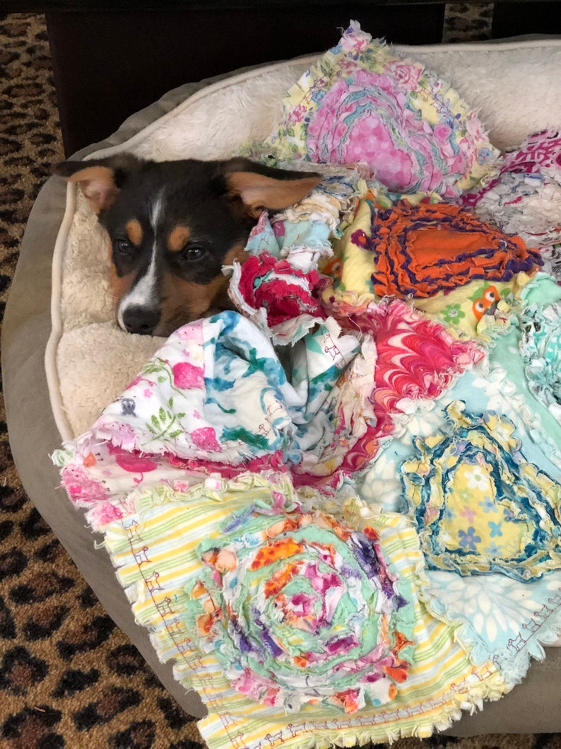 Puede incluir: Un cachorro marr&oacute;n y blanco est&aacute; acurrucado en una cama para perros con una colcha de retazos colorida. La colcha est&aacute; hecha de varias telas y colores, incluyendo rosa, azul, verde, amarillo y naranja.