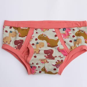 May include: Underwear featuring a pattern of cartoon dinosaurs in shades of brown, pink, and yellow on a light grey background. The waistband and trim are coral-coloured. The design is suitable for children.