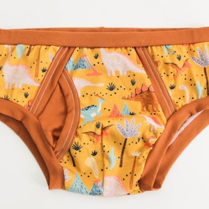 Dino Briefs for men. Adult sizes, baby cotton, excellent quality. Everyday underwear for men