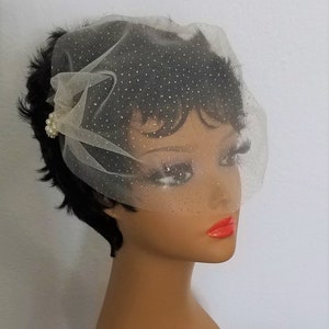 SPARKLE BIRDCAGE VEIL - White, Ivory, Champagne or Black With Your Choice Of Embellishment plus Rhinestone Hairpin -Style - &quot;Sparkle Susie&quot;