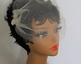 SPARKLE BIRDCAGE VEIL - White, Ivory, Champagne or Black With Your Choice Of Embellishment plus Rhinestone Hairpin -Style - "Sparkle Susie"