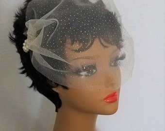 SPARKLE BIRDCAGE VEIL - Choose Your Embellishment, White, Ivory, Champagne or Black Veil,  Plus Rhinestone Hairpin -Style - "Sparkle Susie"