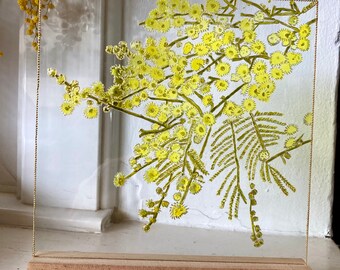 Pintura de vidrio con flores de mimosa: Atrapasol floral amarillo con soporte de madera