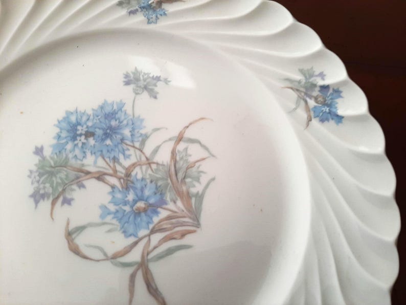 Haviland Limoges Porcelain Plates - Thumbnail 5