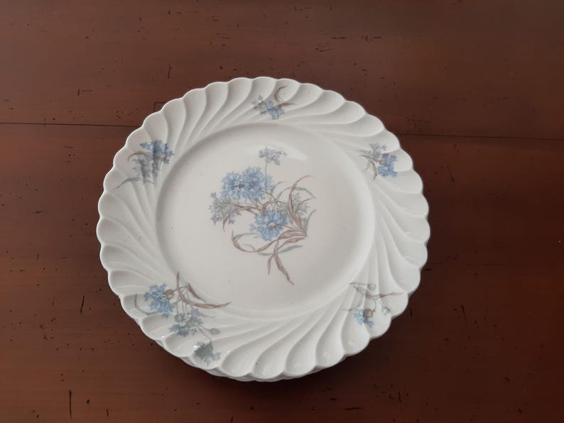 Haviland Limoges Porcelain Plates