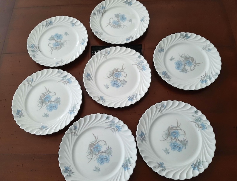 Haviland Limoges Porcelain Plates - Thumbnail 2