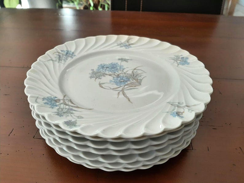 Haviland Limoges Porcelain Plates - Thumbnail 4