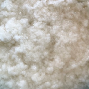 May include: A close-up view of a white, fibrous substance with a soft, fluffy, and clumped texture. The material appears dense and uneven, with small, irregular clusters of white fibers creating a thick, layered surface throughout the frame.
