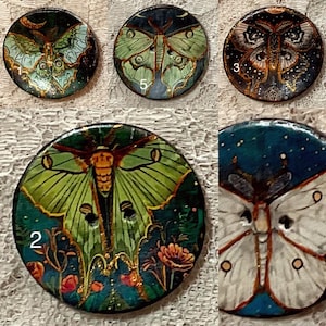 May include: A collection of five round, hand-painted decorative buttons featuring detailed moth illustrations. The buttons showcase a variety of colors, including green, blue, gold, and white, with intricate wing patterns and floral accents. Each button has a unique design.