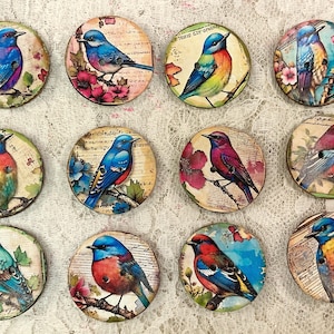 Könnte beinhalten: Eine Sammlung von zwölf runden dekorativen Knöpfen, die jeweils eine farbenfrohe Vogelillustration zeigen. Die Vögel sind in verschiedenen Posen dargestellt, die auf Ästen mit floralen und Noten-Hintergründen sitzen. Die Knöpfe haben einen Durchmesser von etwa 3,8 cm.