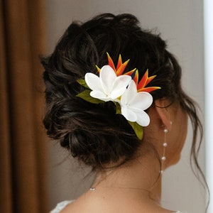 Accessoire de cheveux tropical, casque de mariage, peigne à cheveux de mariée, héliconia et plumeria, fleur hawaïenne, plage, morceau de cheveux de mariée, bibi