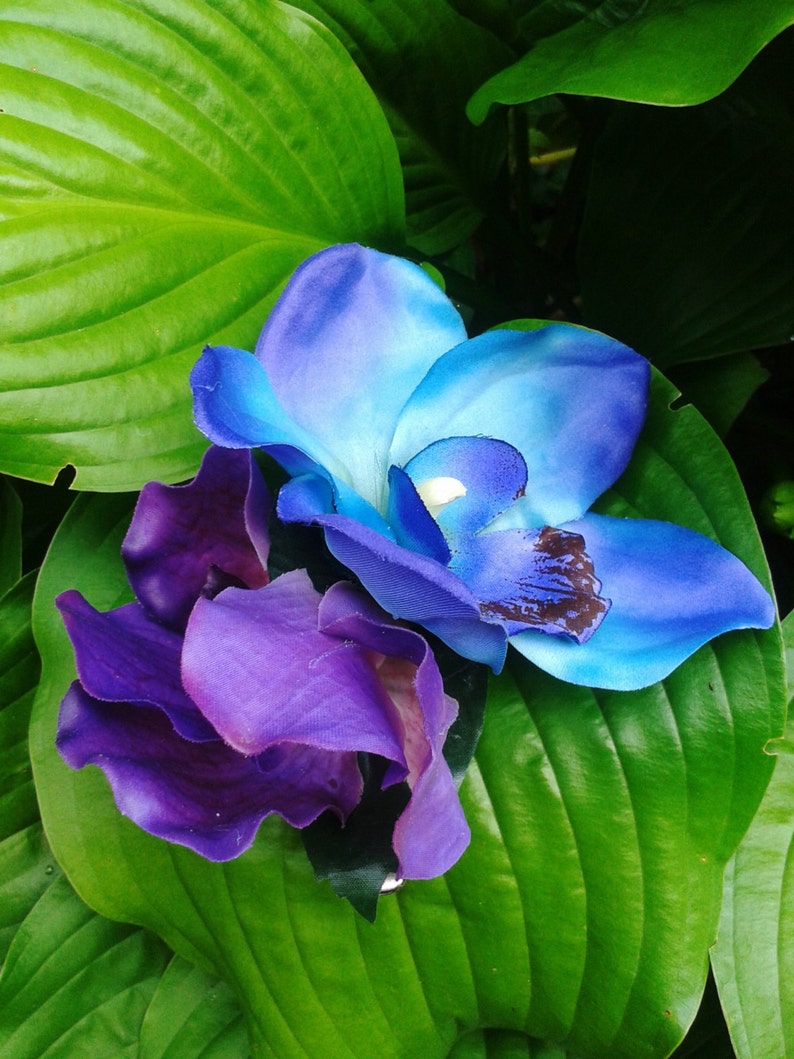 TROPICAL HAIR CLIP Blue Orchid Hair Flower Purple Exotic Etsy