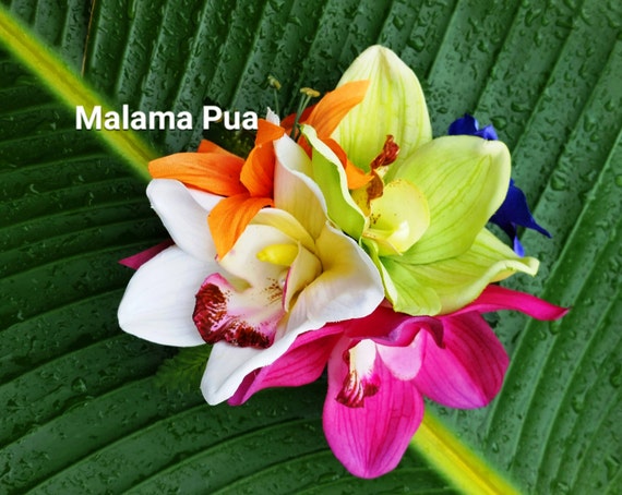 Hawaiian Tropical Hair Clip Hair Accessory Silk Orchid Hair Flower Wedding Headpiece Bridal Hair Piece Fascinator Beach Wedding Peigne