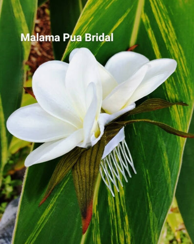 Headpiece WEDDING Hair comb Real Touch Hawaiian Plumeria flower Destination Beach Wedding Silk flowers Hairpiece Bridal Hair Accessory