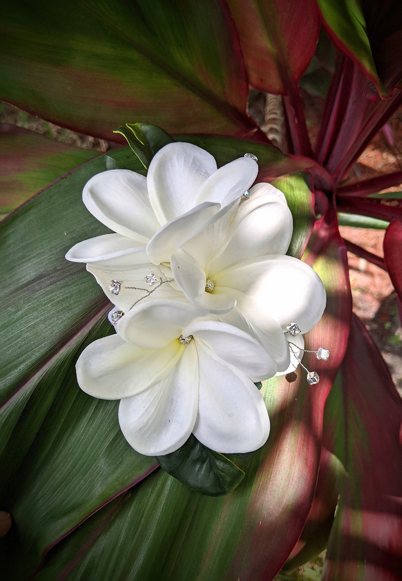 plumeria headpiece