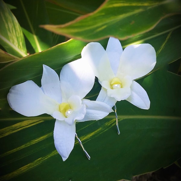 Pince à cheveux de mariage tropical, orchidée blanc ivoire, épingles à cheveux de mariée, plage, centres de perles, pince à cheveux, casque de mariage, hawaïen, bibi