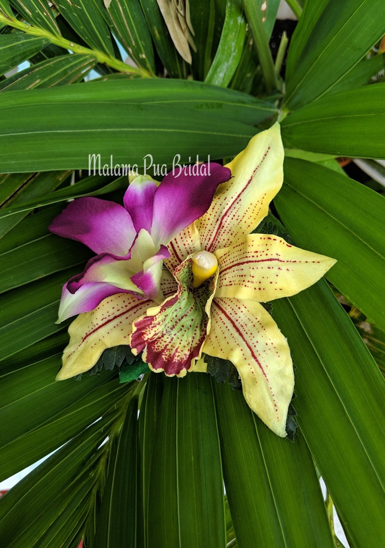 Hawaiian Tropical Headpiece TROPICAL HAIR FLOWERS Beach Wedding hair clip Silk flowers Fascinator Bridal headpiece Wedding flowers