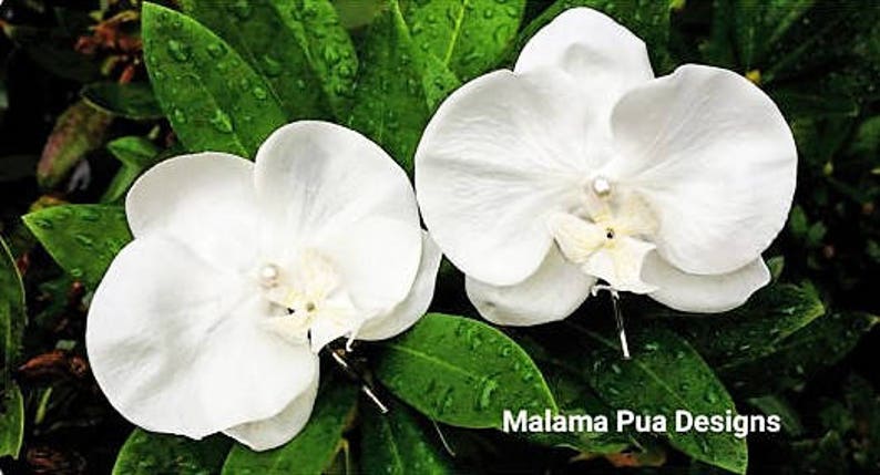 Hawaiian Hair Flower hair accessory custom hair clip Wedding hair piece silk flower Bridal orchid hair flower Beach Tropical flower