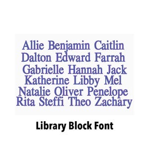 Monogrammed Beach Sun Hat Perosnalized Custom Name Women Summer Vacation Wide Brim Floppy Coastal Wedding Bridesmaid Gift immagine 11