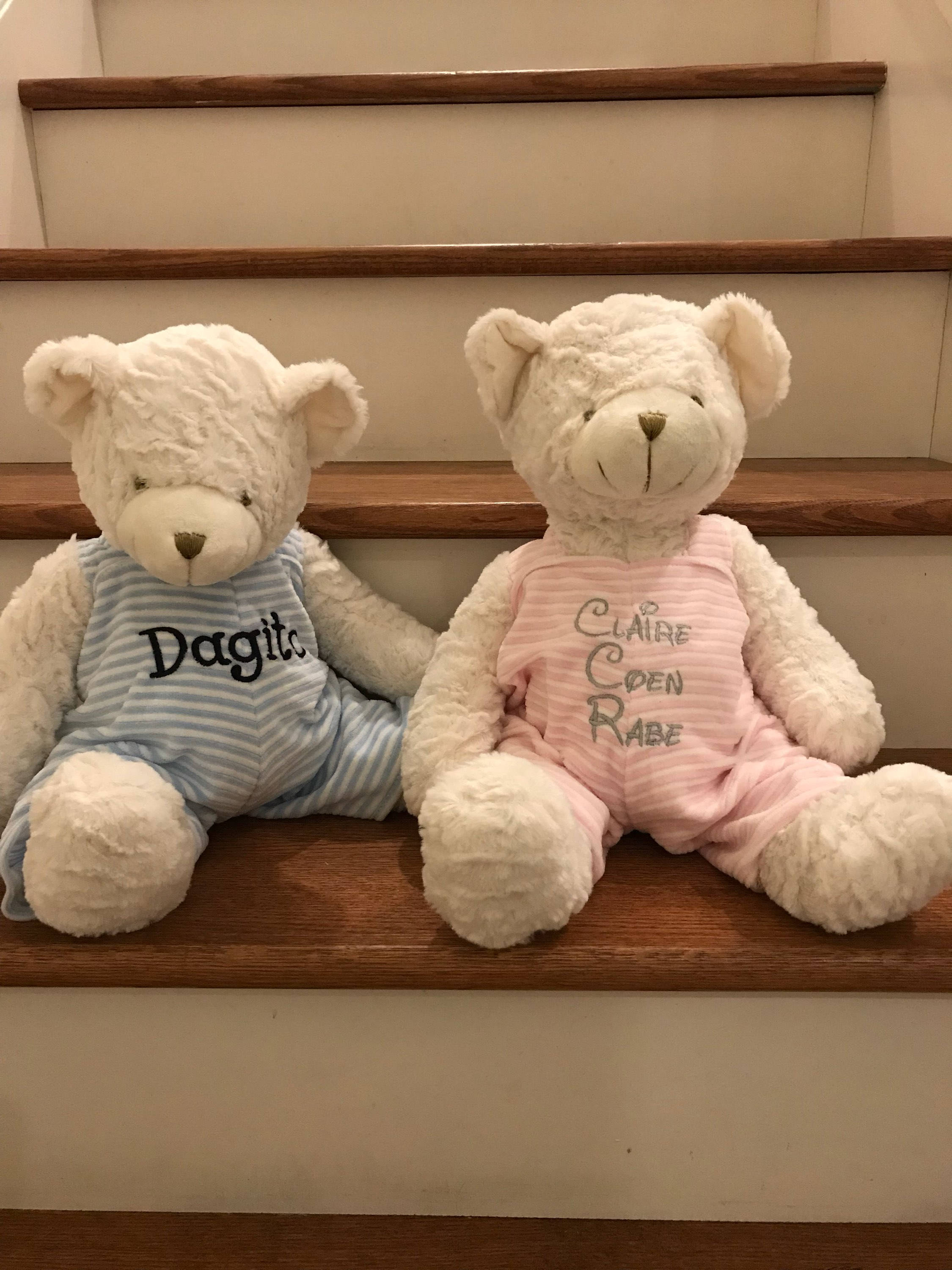 personalized stuffed bear