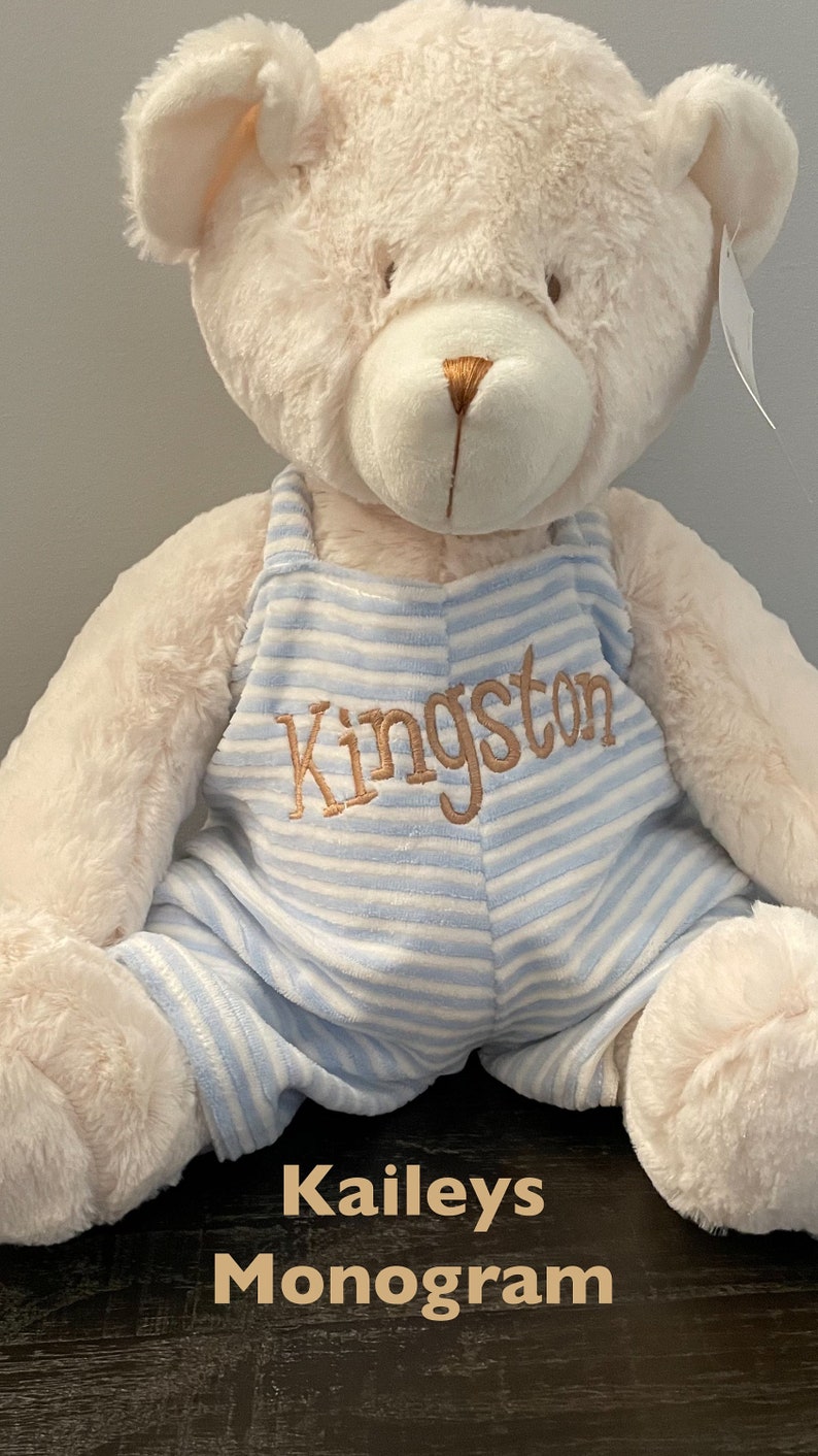 Personalized Plush Bear New Baby Gifts for Boys or Girls Baby Animal Baby Shower Gift Light Blue Bear Baby Pink Teddy Bear Nursery Decor image 5