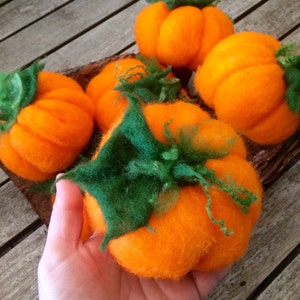 Pumpkin, set 5 pumpkins, toy/  made in carded wool, Waldorf. Halloween