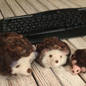 hedgehog in carded wool