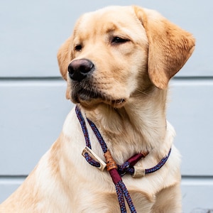 Dog Slip Lead / Moxon Lead in aubergine-blue | strong adjustable Dog Leash made of rope with integrated Antler stop and collar | Ø8mm