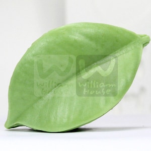 One leaf - handmade design soap mold