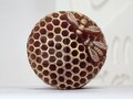 Honeycomb with honeybee - handmade design soap mold product logo