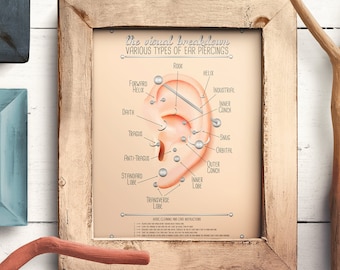 Ear Piercing Chart Infographic Chart Poster Piercing Infographic Print Gift for Piercers Map of Types of Piercings Print