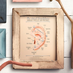 Ear Piercing Chart Infographic Chart Poster Piercing Infographic Print Gift for Piercers Map of Types of Piercings Print