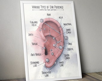 Watercolor Ear Piercing Chart | Various Ear Piercing Locations Infographic; Sold By The Artist Who Painted It | Original Ear Piecing Chart