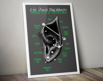 Elvish Ear Piercing Chart Wall Art in Green Black and Grey Elven Art Fantasy Ear Piercing Chart