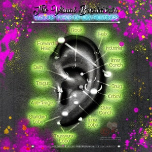 Neon öronpiercingdiagram som visar olika platser för öronpiercingar Väggdekor Typer av öronpiercingar Konsttryck Neon