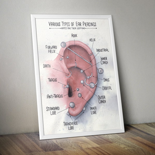 Tableau des piercings aux oreilles à l'aquarelle, différents emplacements de piercings, infographie, tableau des piercings aux oreilles originaux, art mural