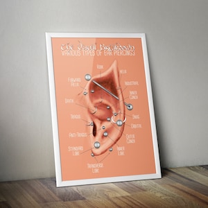 Alv öronpiercing diagram ljus hudton alvisk öronpiercing karta väggkonst alvposter