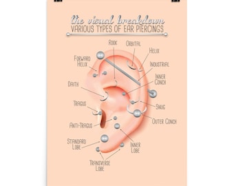 Ear Piercing Chart Infographic Print Wall Art Updated Version Poster