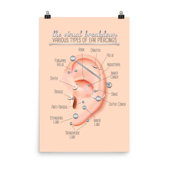 Ear Piercing Chart Infographic Print Wall Art Updated Version Poster