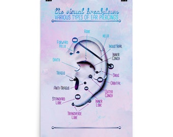 Watercolor Pastel Ear Piercing Infographic