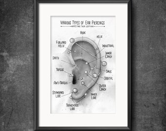 Watercolor Ear Piercing Chart Poster Black and Gray Art Various Ear Piercing Locations Infographic Watercolor Piercings Gift for Piercers