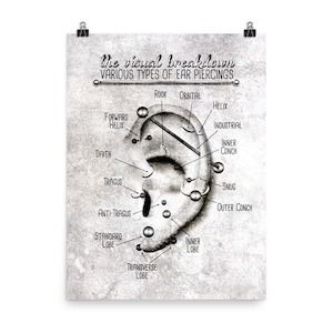 Tableau des piercings d'oreilles, impression infographique, oeuvre d'art mural mise à jour, version gris grunge, affiche