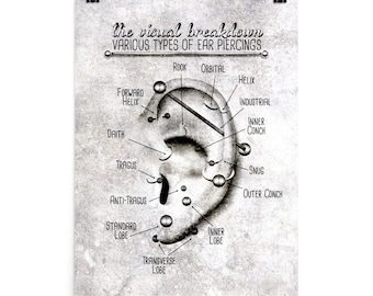 Ear Piercing Chart Infographic Print Wall Art Updated Grunge Grey Version Poster