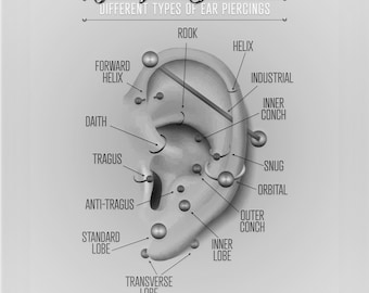 Ear Piercing Chart Infographic Print Wall Art Black and Grey matching for  Facial Piercing Version Poster - Etsy UK