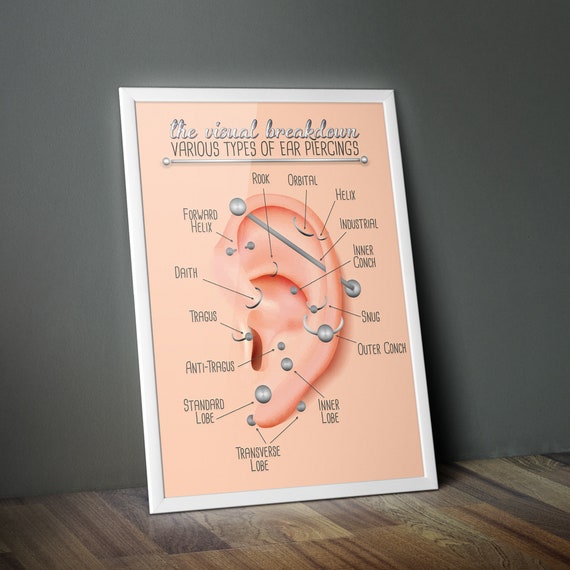 Ear Piercing Chart Infographic Print Wall Art Updated Version Poster
