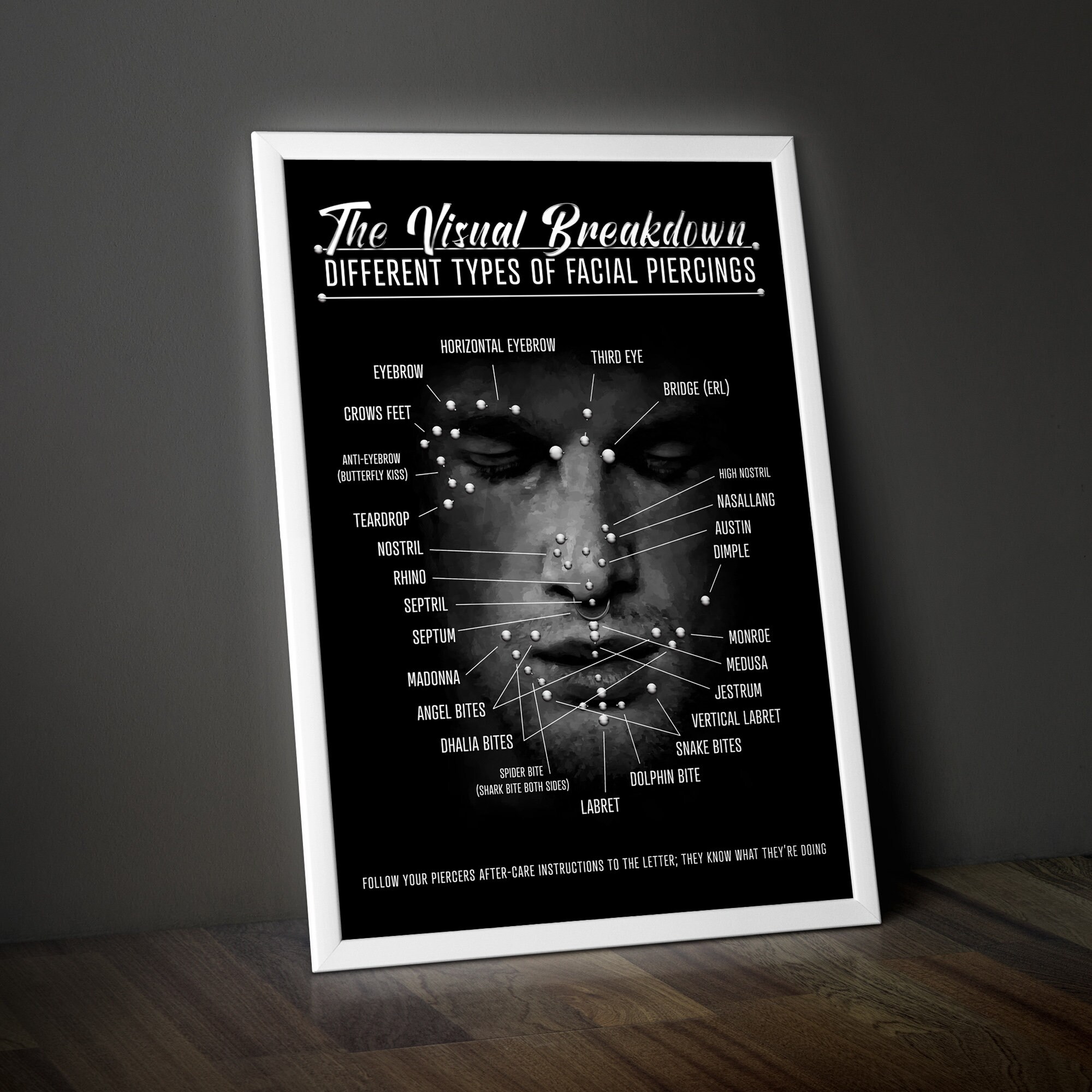 Facial Piercings Infographic Chart Poster Various Types of Face